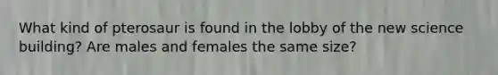 What kind of pterosaur is found in the lobby of the new science building? Are males and females the same size?