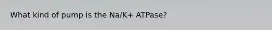 What kind of pump is the Na/K+ ATPase?