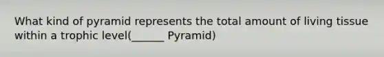 What kind of pyramid represents the total amount of living tissue within a trophic level(______ Pyramid)