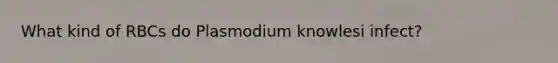 What kind of RBCs do Plasmodium knowlesi infect?