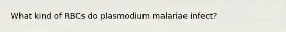 What kind of RBCs do plasmodium malariae infect?