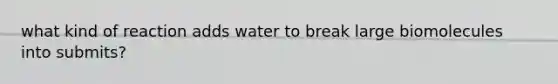 what kind of reaction adds water to break large biomolecules into submits?