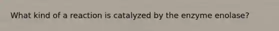 What kind of a reaction is catalyzed by the enzyme enolase?