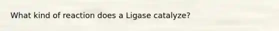 What kind of reaction does a Ligase catalyze?