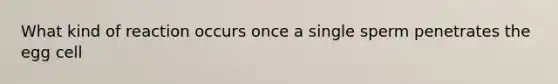 What kind of reaction occurs once a single sperm penetrates the egg cell