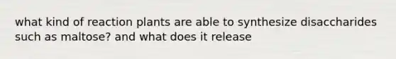 what kind of reaction plants are able to synthesize disaccharides such as maltose? and what does it release