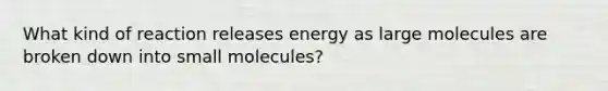 What kind of reaction releases energy as large molecules are broken down into small molecules?