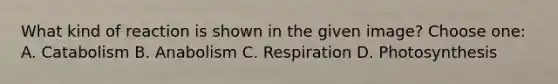 What kind of reaction is shown in the given image? Choose one: A. Catabolism B. Anabolism C. Respiration D. Photosynthesis