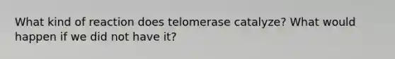 What kind of reaction does telomerase catalyze? What would happen if we did not have it?