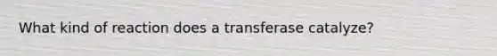 What kind of reaction does a transferase catalyze?