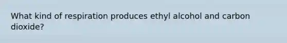 What kind of respiration produces ethyl alcohol and carbon dioxide?