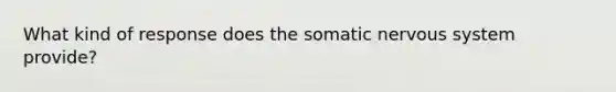 What kind of response does the somatic nervous system provide?