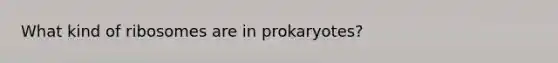 What kind of ribosomes are in prokaryotes?