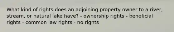 What kind of rights does an adjoining property owner to a river, stream, or natural lake have? - ownership rights - beneficial rights - common law rights - no rights