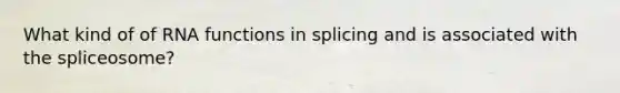 What kind of of RNA functions in splicing and is associated with the spliceosome?