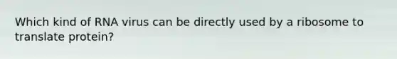 Which kind of RNA virus can be directly used by a ribosome to translate protein?