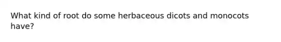 What kind of root do some herbaceous dicots and monocots have?