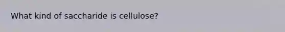 What kind of saccharide is cellulose?