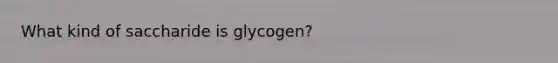 What kind of saccharide is glycogen?