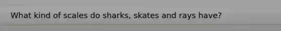 What kind of scales do sharks, skates and rays have?