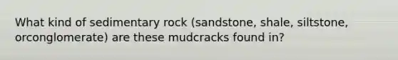 What kind of sedimentary rock (sandstone, shale, siltstone, orconglomerate) are these mudcracks found in?