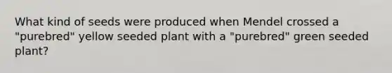 What kind of seeds were produced when Mendel crossed a "purebred" yellow seeded plant with a "purebred" green seeded plant?