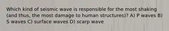 Which kind of seismic wave is responsible for the most shaking (and thus, the most damage to human structures)? A) P waves B) S waves C) surface waves D) scarp wave