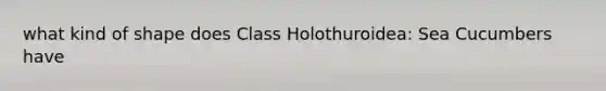 what kind of shape does Class Holothuroidea: Sea Cucumbers have