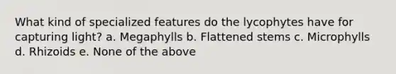 What kind of specialized features do the lycophytes have for capturing light? a. Megaphylls b. Flattened stems c. Microphylls d. Rhizoids e. None of the above