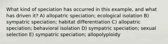 What kind of speciation has occurred in this example, and what has driven it? A) allopatric speciation; ecological isolation B) sympatric speciation; habitat differentiation C) allopatric speciation; behavioral isolation D) sympatric speciation; sexual selection E) sympatric speciation; allopolyploidy