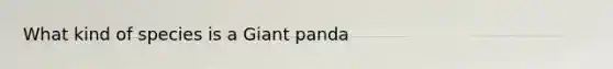 What kind of species is a Giant panda