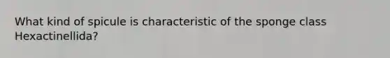 What kind of spicule is characteristic of the sponge class Hexactinellida?