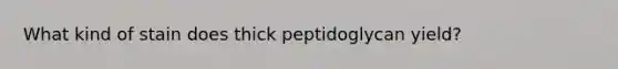 What kind of stain does thick peptidoglycan yield?