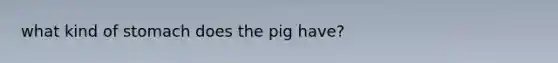 what kind of stomach does the pig have?