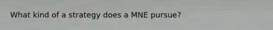 What kind of a strategy does a MNE pursue?