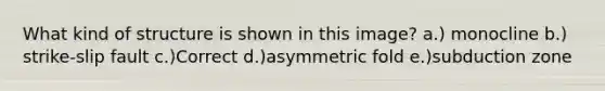 What kind of structure is shown in this image? a.) monocline b.) strike-slip fault c.)Correct d.)asymmetric fold e.)subduction zone