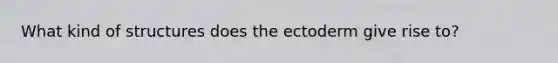 What kind of structures does the ectoderm give rise to?