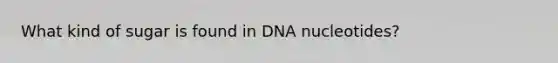 What kind of sugar is found in DNA nucleotides?