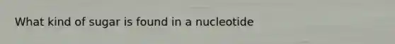 What kind of sugar is found in a nucleotide