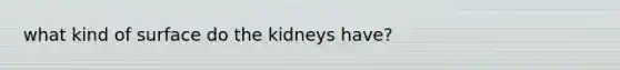 what kind of surface do the kidneys have?