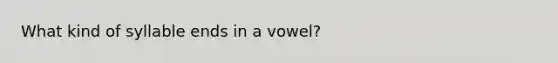 What kind of syllable ends in a vowel?