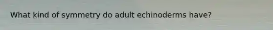 What kind of symmetry do adult echinoderms have?