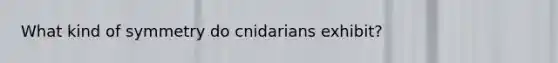 What kind of symmetry do cnidarians exhibit?