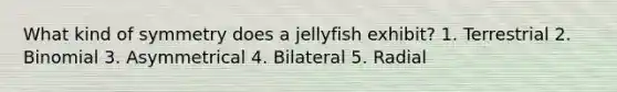 What kind of symmetry does a jellyfish exhibit? 1. Terrestrial 2. Binomial 3. Asymmetrical 4. Bilateral 5. Radial