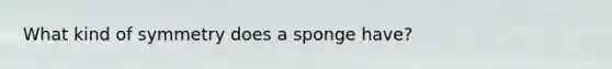 What kind of symmetry does a sponge have?