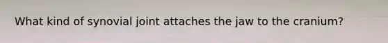 What kind of synovial joint attaches the jaw to the cranium?