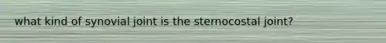 what kind of synovial joint is the sternocostal joint?