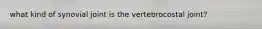 what kind of synovial joint is the vertebrocostal joint?