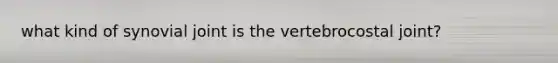 what kind of synovial joint is the vertebrocostal joint?