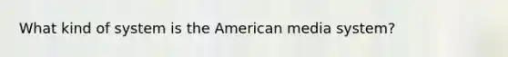 What kind of system is the American media system?